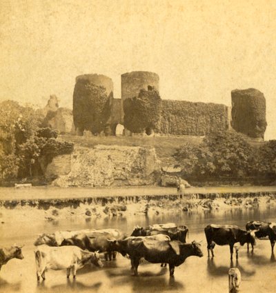 Rhuddlan - Nehirden Kale, c1900. by Unbekannt