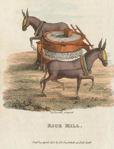 Pirinç Değirmeni, 1813 by Unbekannt