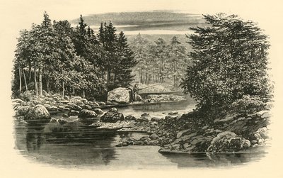 Nehir Sahnesi, Langdale, c1890. by Unbekannt