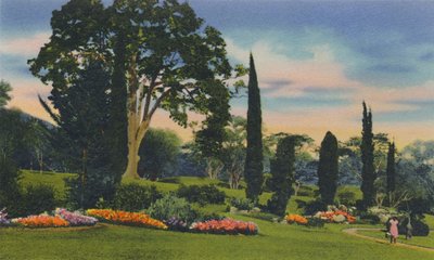 Rock Garden, Trinidad, B.W.I., 1940