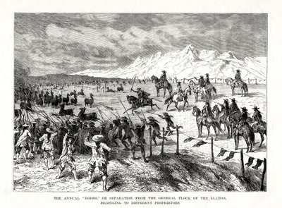 Rodeo, Güney Amerika, 1877 by Unbekannt