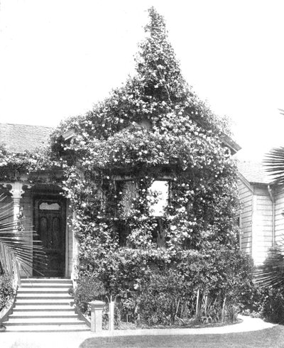 Rose Cottage, South Spring Street, Los Angeles, California, ABD, c1900. by Unbekannt