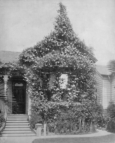 Rose Cottage, South Spring Street, Los Angeles, California, c1897. by Unbekannt
