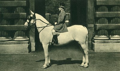 Scarlet Livery