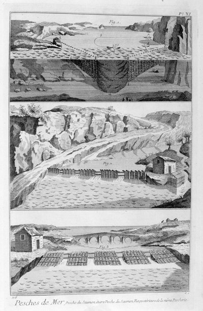 Somon balıkçılığı, 1751-1777 by Unbekannt