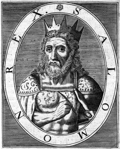 Salomon Rex. Kral Süleyman