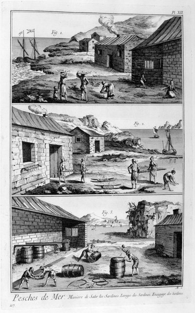 Sardalyaların tuzlanması, yıkanması, paketlenmesi, 1751-1777 by Unbekannt
