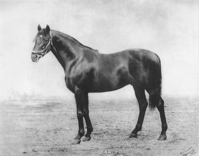 San Toi, 1911 by Unbekannt