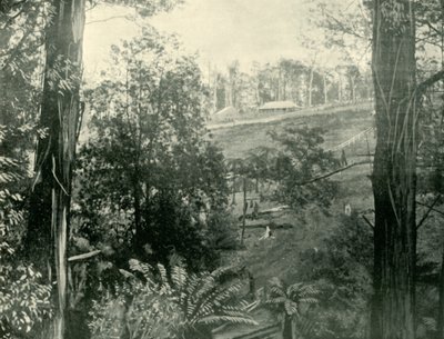 Yukarı Gembrook