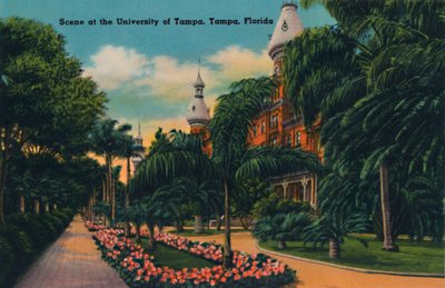 Tampa Üniversitesi
