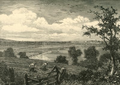 Sedgemoor, Middlezoy