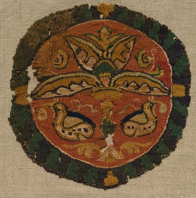 Tunikten Segmentum, 800