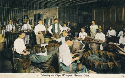 Puro Ambalajlarının Seçilmesi, Havana, Küba, c1910 by Unbekannt