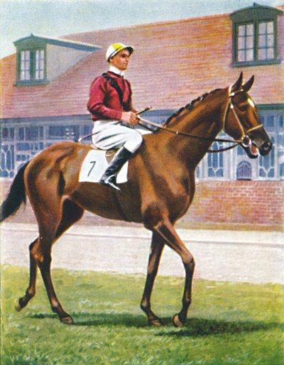 Senor, Jokey: J. Crouch, 1939 by Unbekannt