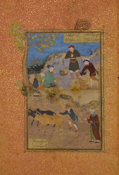 Shaikh Mahneh ve Köylü, Bir Mantiq al-tair Language of the Birds