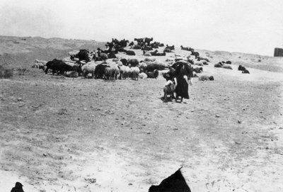 Samarra