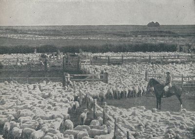 Avustralya