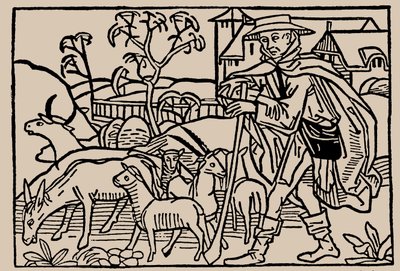 Çoban. İnsan Hayatının Aynasından Rodericus Zamorensis, 1479 by Unbekannt