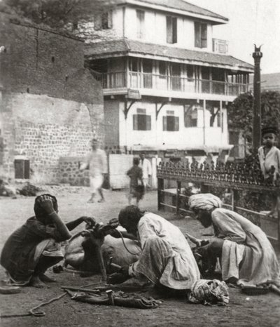 Bir öküzü nallamak, Hindistan, c1927-c1929 by Unbekannt