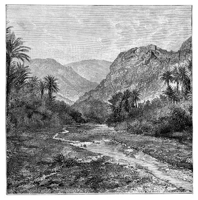 Sina, Mısır, 1895 by Unbekannt