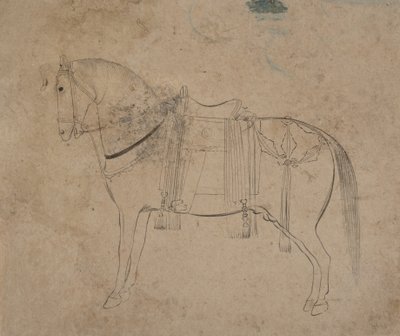 Bir At Kroki, 18. yüzyılın sonlarında. by Unbekannt
