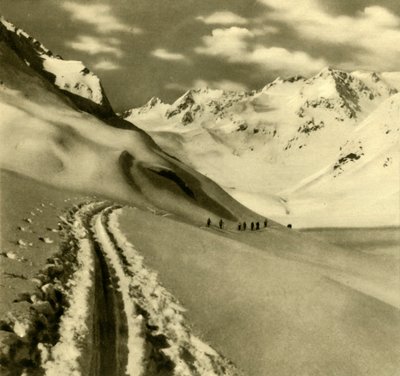 Stubai Alpleri