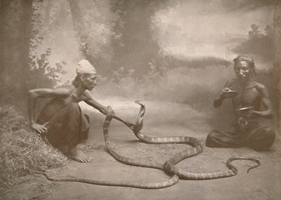 Hamadryads ile Yılan Oynatıcılar Kuy Kobralar, 1900. by Unbekannt