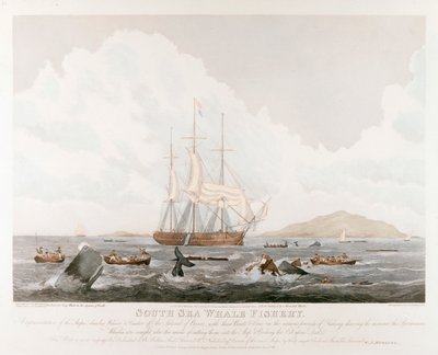 Güney Denizi Balina Balıkçılığı, 1825 by Unbekannt