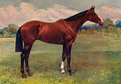 Nane, c1905 c1910 by Unbekannt