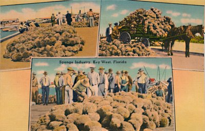 Sünger Endüstrisi, Key West, Florida, c1940