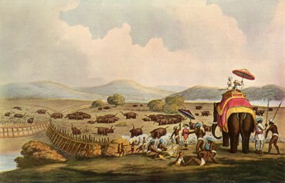 Hindistan