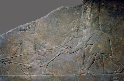 Kuzey Asurbanipal Sarayı