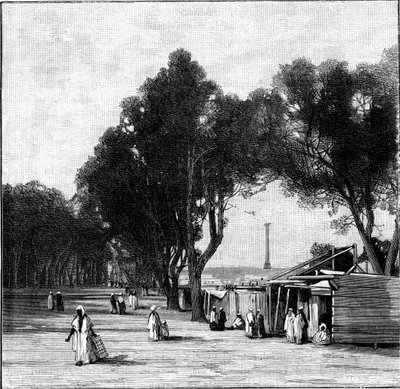 Uzaktan Pompey Sütunu ile sokak sahnesi, İskenderiye, Mısır, 1900 by Unbekannt