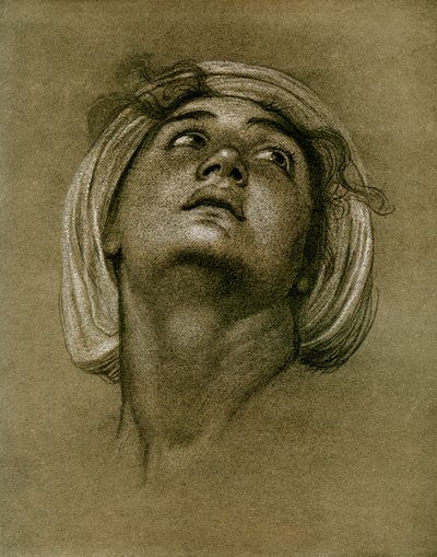 Bir kafanın incelenmesi, 1901 by Unbekannt