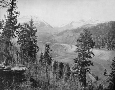 Sunshine Park ve Wilson, c1897. by Unbekannt