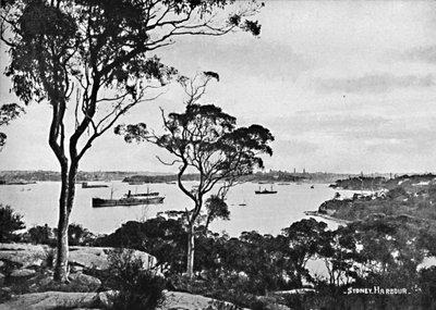 Sidney Limanı, Cremorne Point