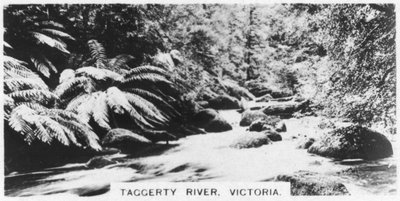 Taggerty Nehri, Victoria, Avustralya, 1928 by Unbekannt