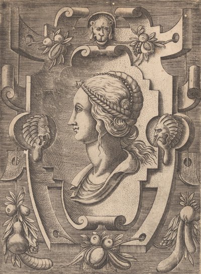 Çeşitli ve tuhaf buluşların plaketleri ve diğer süsleri Kartuşlar ve diğer süs eşyaları o ..., 1773. by Unbekannt