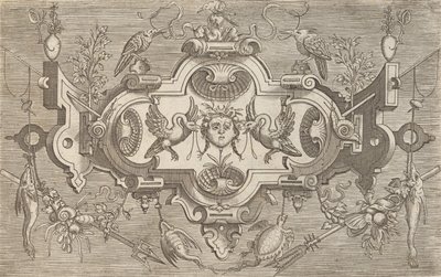 Çeşitli ve tuhaf buluşların plaketleri ve diğer süsleri Kartuşlar ve diğer süs eşyaları o ..., 1773. by Unbekannt