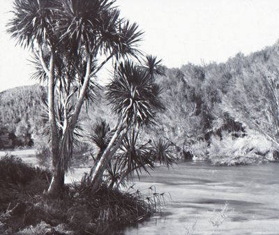 Te Waihou Nehri, Okoroire, 19. yüzyılın sonları - 20. yüzyılın başlarında. by Unbekannt