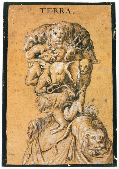 Terra Arazisi, c1600 by Unbekannt