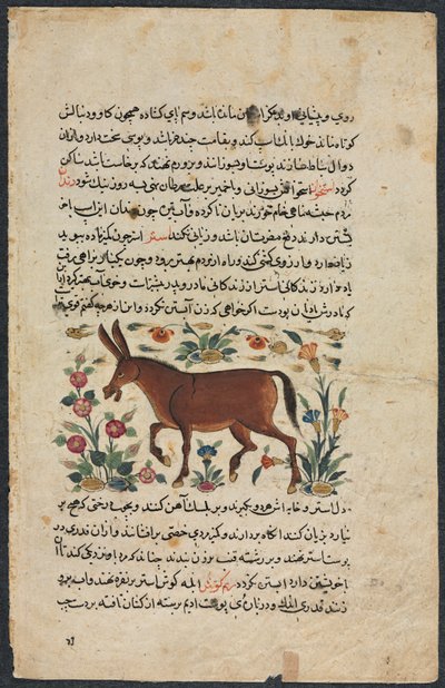 Metin Sayfası, Farsça Nesir Recto, Khar Ass Verso, 1400