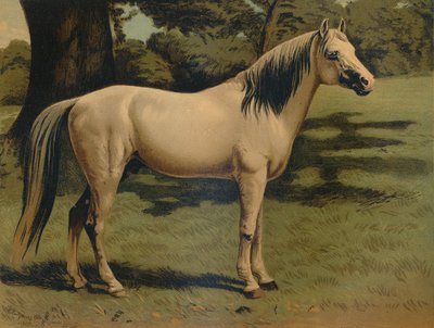 General Sir Hope Grant