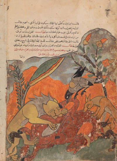Aslan, Karga, Kurt ve Çakal