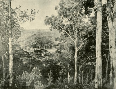 Mavi Dağlar, 1901. by Unbekannt