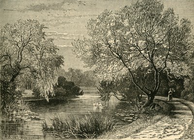 Botanik Bahçeleri, Regents Park, c1876. by Unbekannt