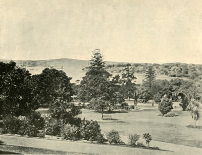 Sidney Botanik Bahçeleri, 1901. by Unbekannt