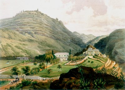 Briars, St Helena, 19. yüzyılın başlarında 1851 by Unbekannt