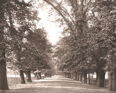 Geniş Yürüyüş, Oxford, 1894. by Unbekannt