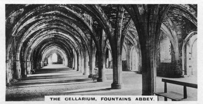 Cellarium, Çeşmeler Manastırı, Yorkshire, c1920